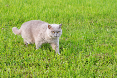 Similar image 11887511