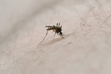 Similar image 11887551