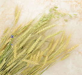 Similar image 11887767