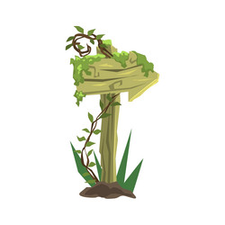 Similar image 11889519