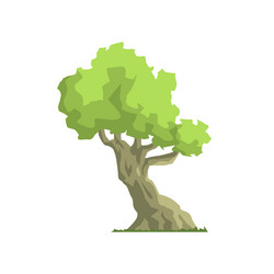 Similar image 11889521