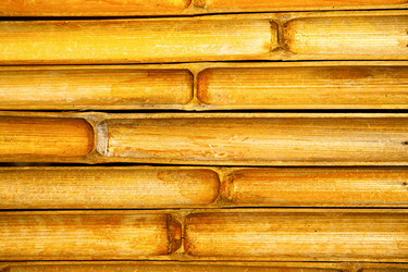 Similar image 11887751