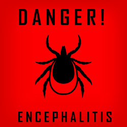 Similar image 11887418