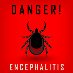 Similar image 11887419