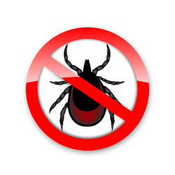 Similar image 11887424