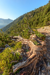 Similar image 11887969