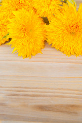 Similar image 11899924