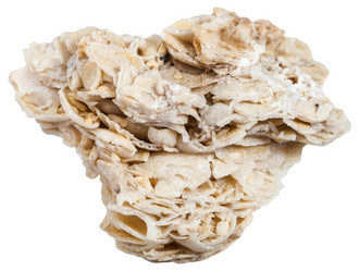 Similar image 11887093