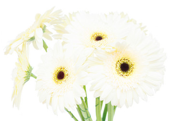 Similar image 11894861