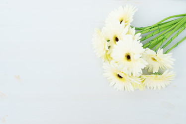 Similar image 11894889