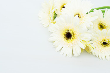 Similar image 11894890