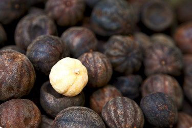 Similar image 11888420