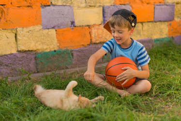 Similar image 11888377