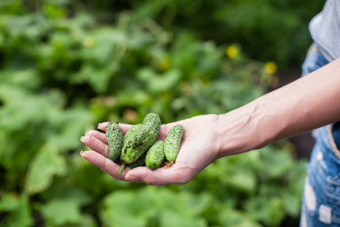 Similar image 11890851