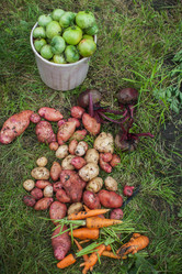 Similar image 11890273