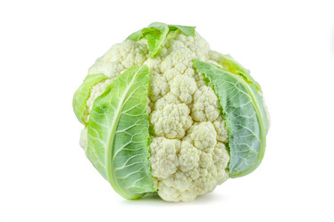 Similar image 11896730