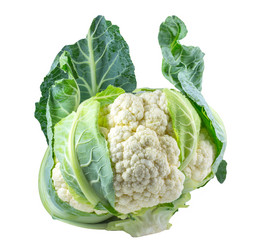 Similar image 11896741