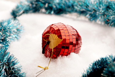 Similar image 11904313