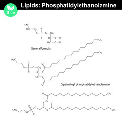 Similar image 11886612