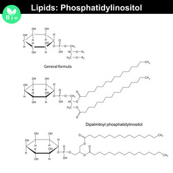 Similar image 11886614