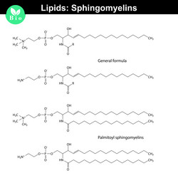 Similar image 11886616