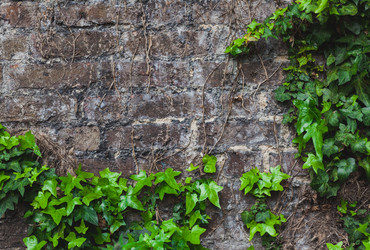 Similar image 11888406