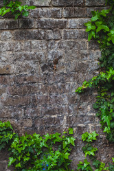 Similar image 11888407