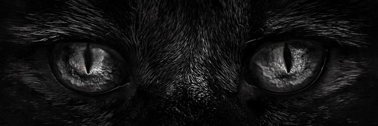 Similar image 11888382