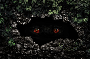 Similar image 11888383