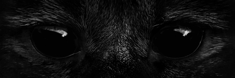 Similar image 11888384