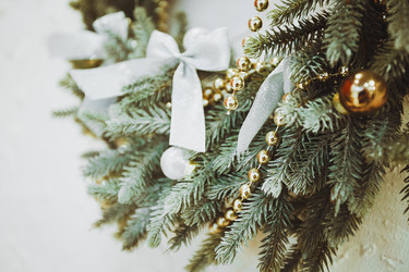 Similar image 11888686