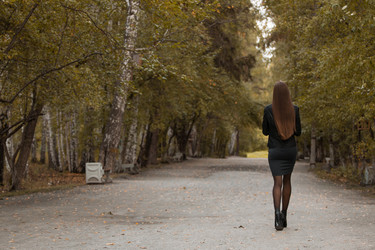 Similar image 11888654