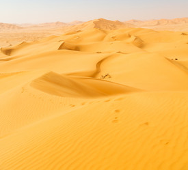 Similar image 11888199