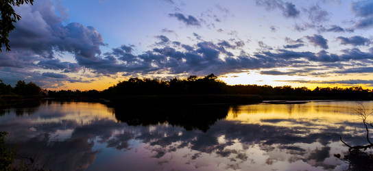 Similar image 11893597