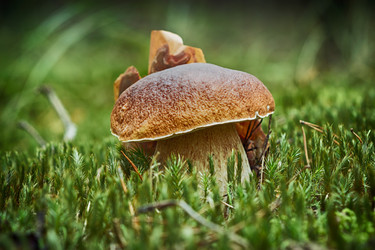 Similar image 11888188