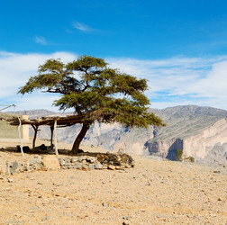 Similar image 11896202