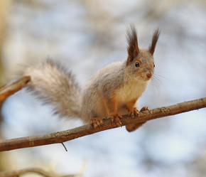 Similar image 11888343