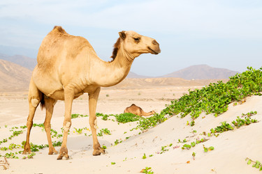 Similar image 11896207