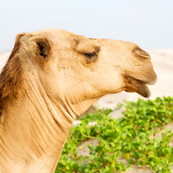 Similar image 11896213