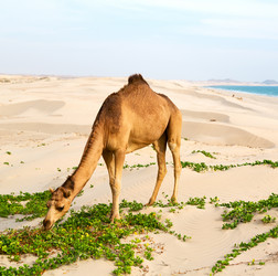 Similar image 11896227