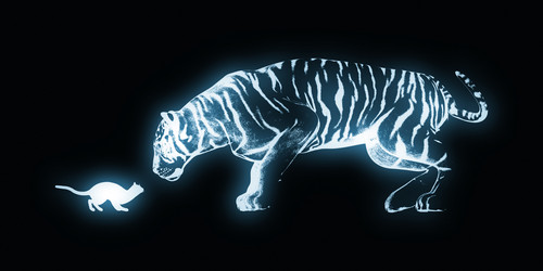 Similar image 11919895