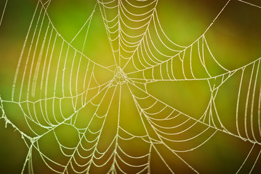 Similar image 11896026