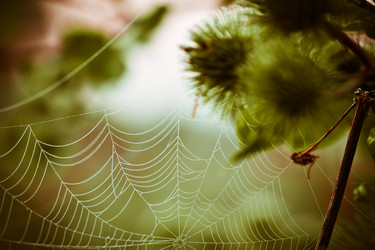 Similar image 11896027