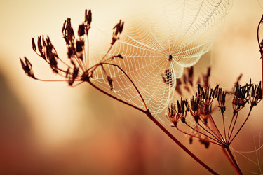 Similar image 11896029