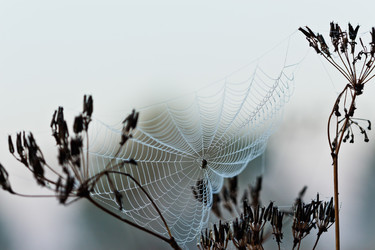 Similar image 11896030