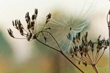 Similar image 11896031