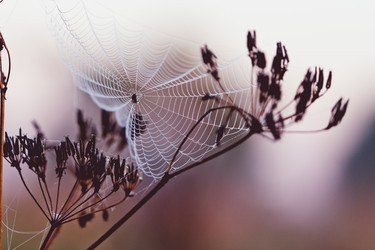 Similar image 11896032