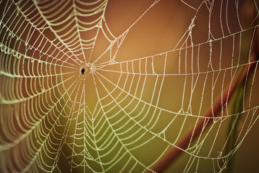 Similar image 11896033