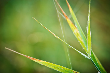 Similar image 11896034