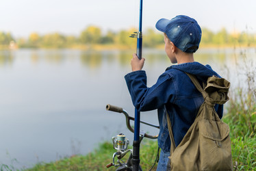 Similar image 11896082